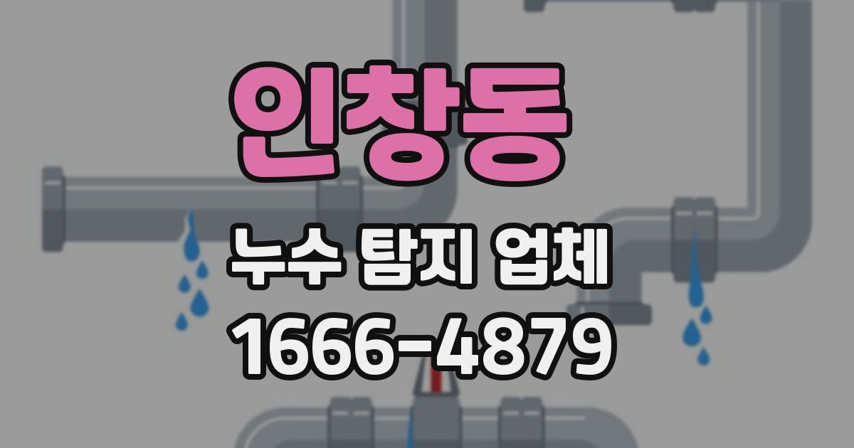 인창동 누수 탐지 업체