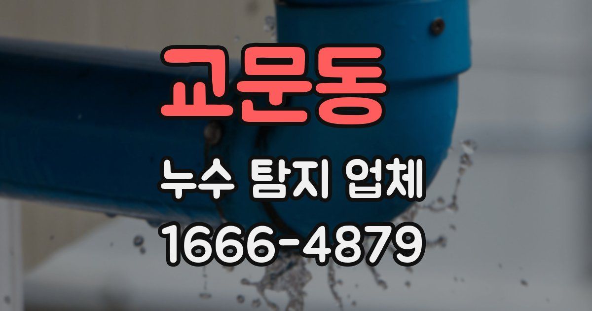 교문동 누수 탐지 업체