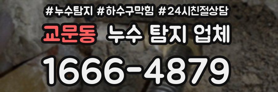 교문동 누수 탐지 업체