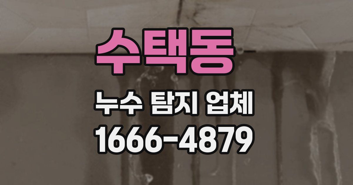 수택동 누수 탐지 업체