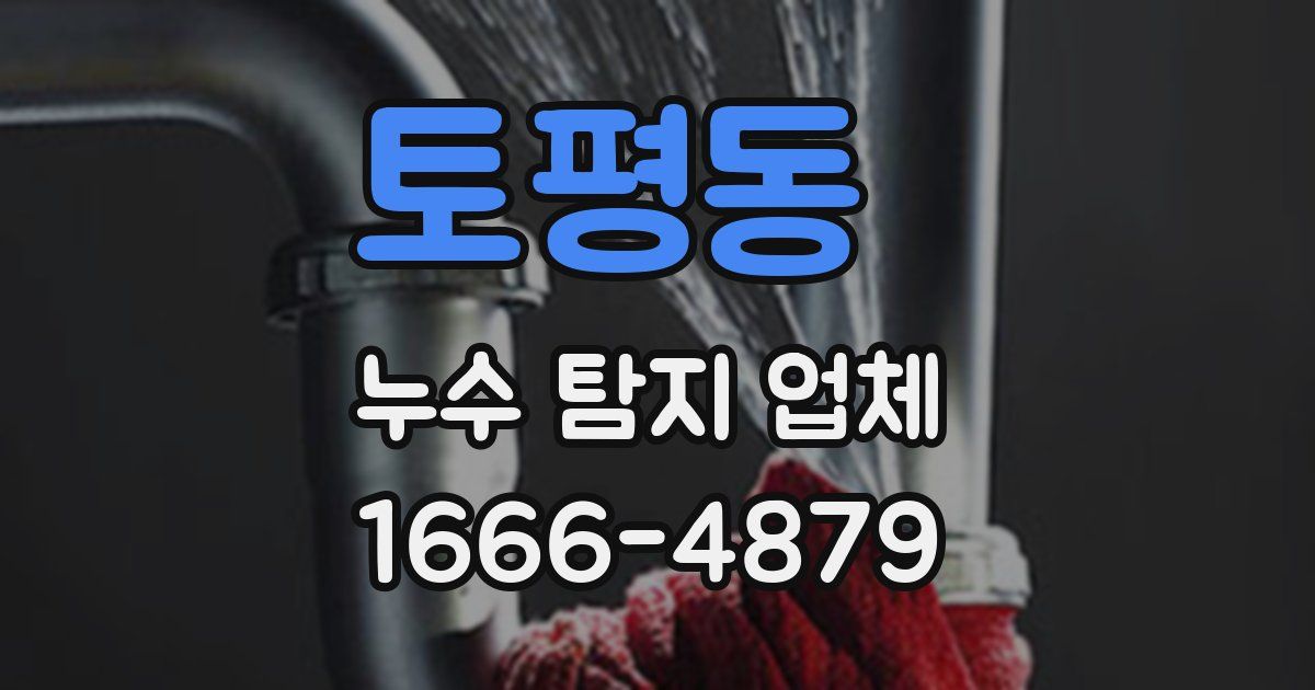 토평동 누수 탐지 업체