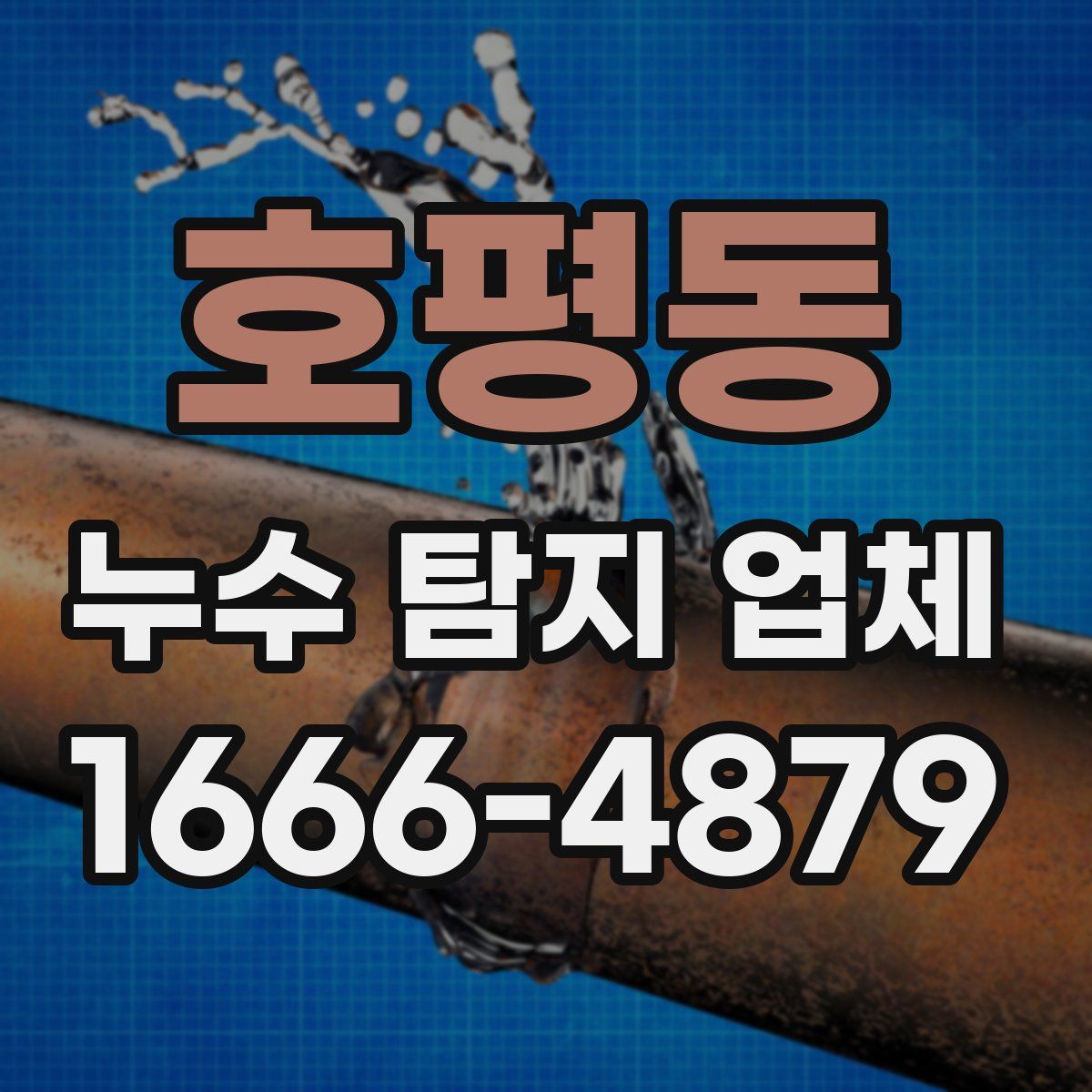 호평동 누수 탐지 업체