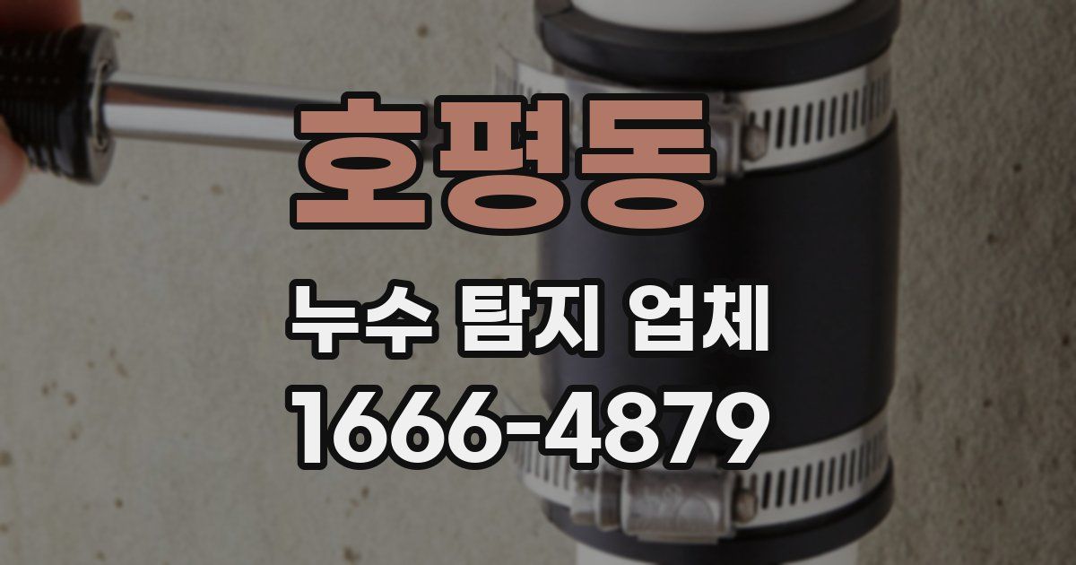 호평동 누수 탐지 업체