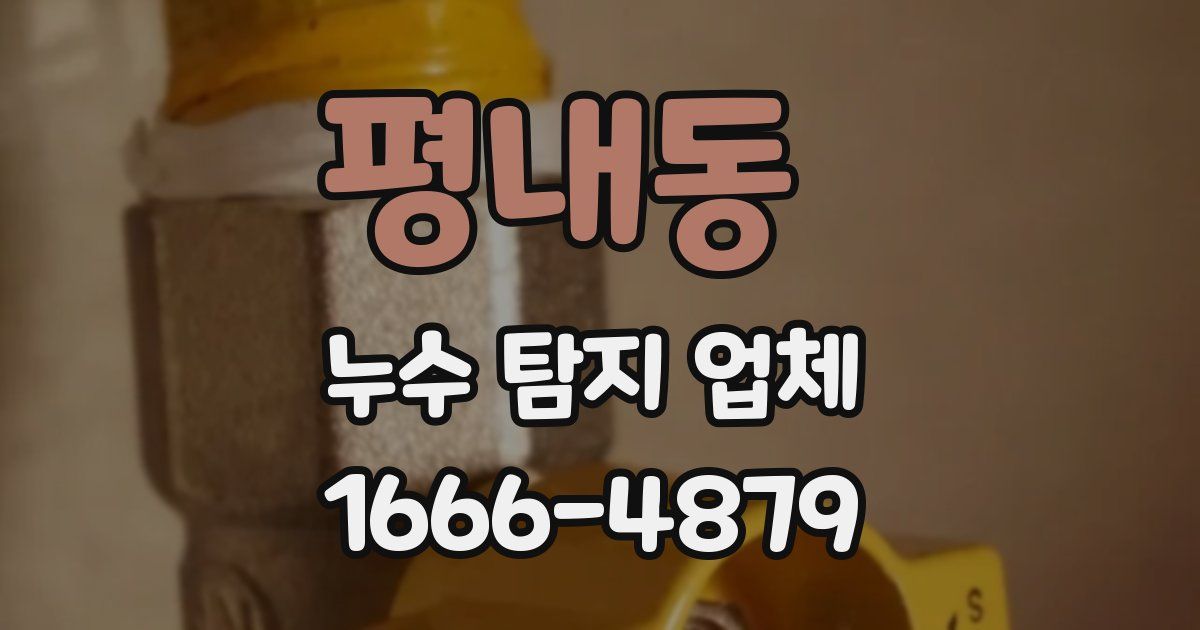 평내동 누수 탐지 업체