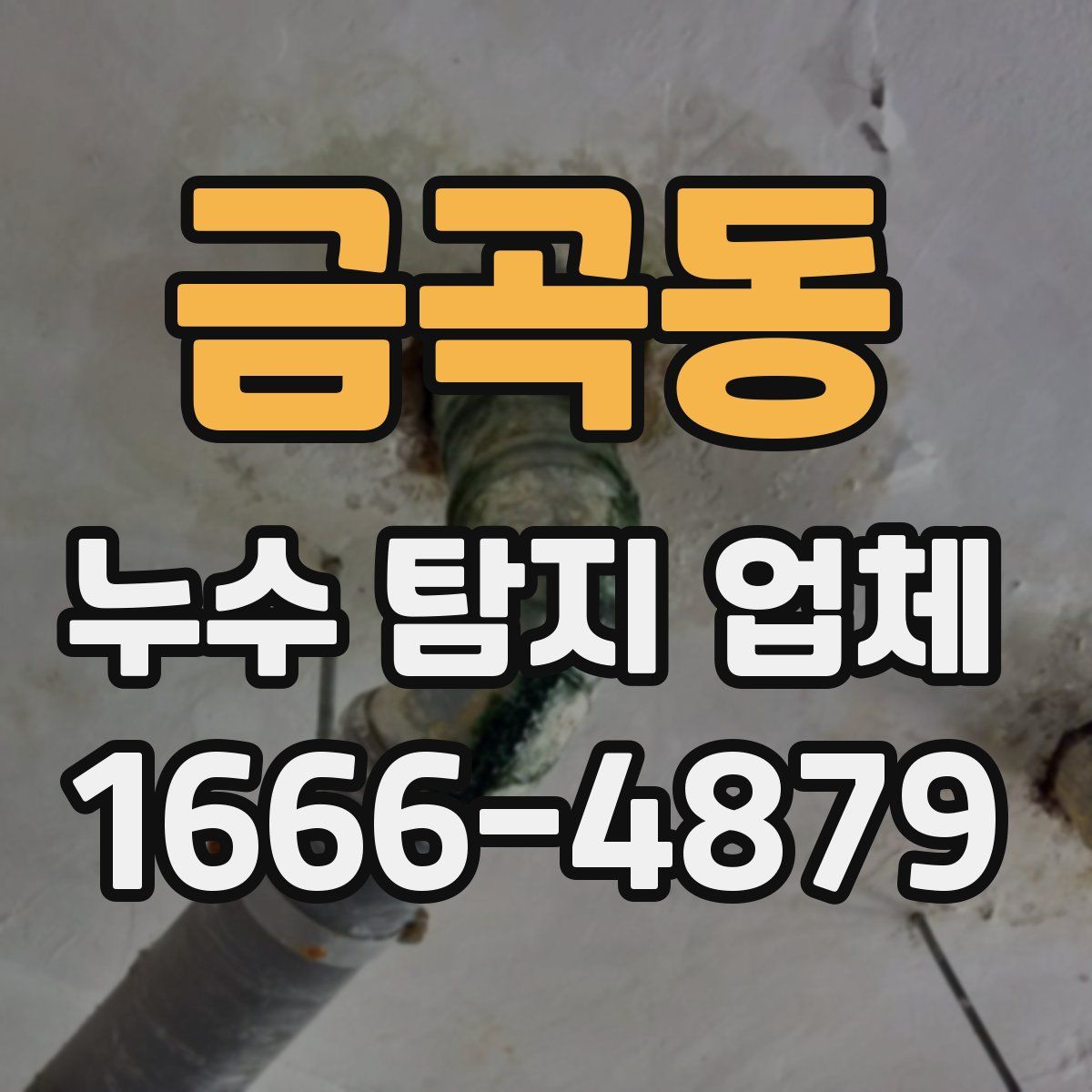 금곡동 누수 탐지 업체