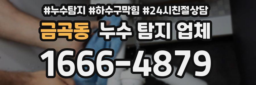 금곡동 누수 탐지 업체