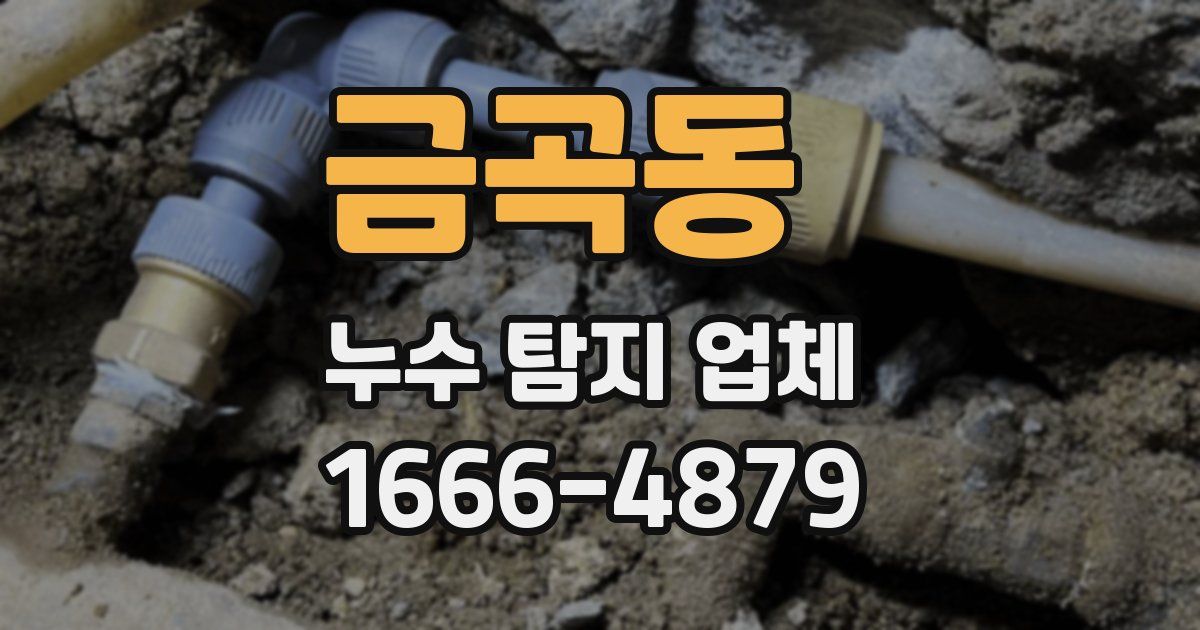 금곡동 누수 탐지 업체