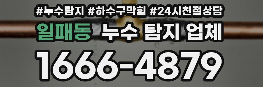 일패동 누수 탐지 업체