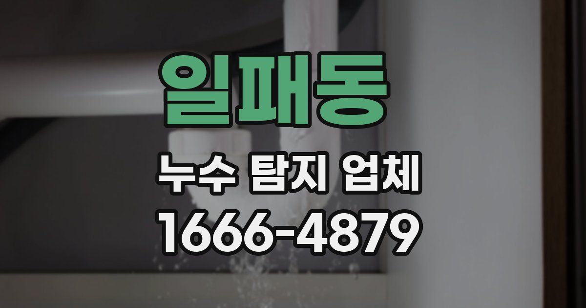 일패동 누수 탐지 업체