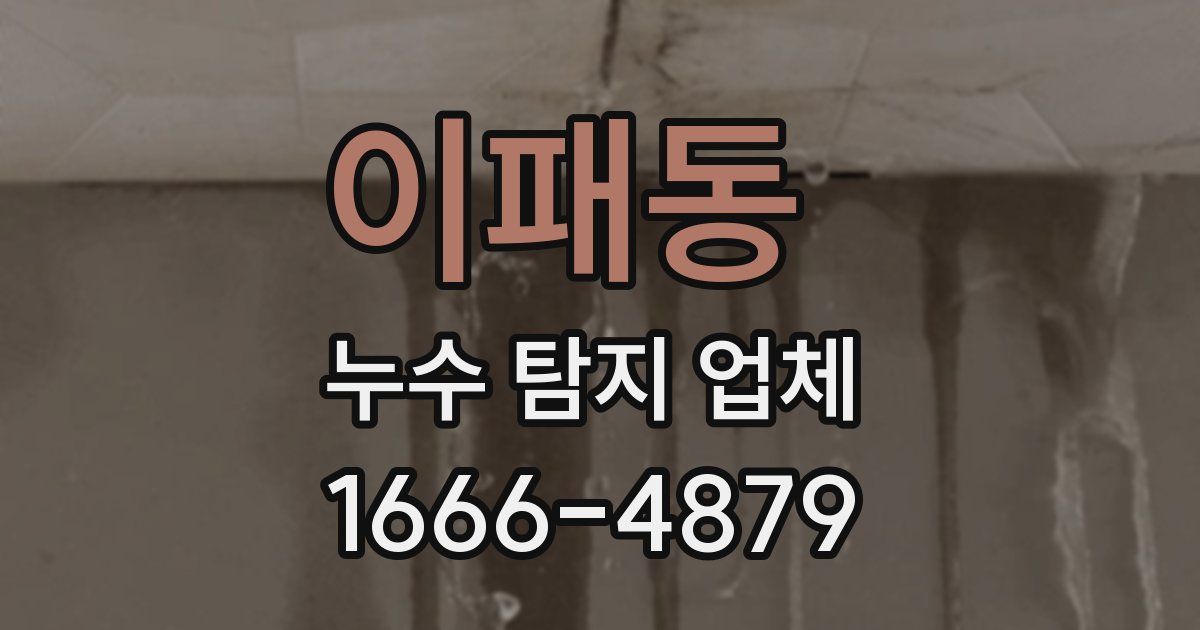 이패동 누수 탐지 업체