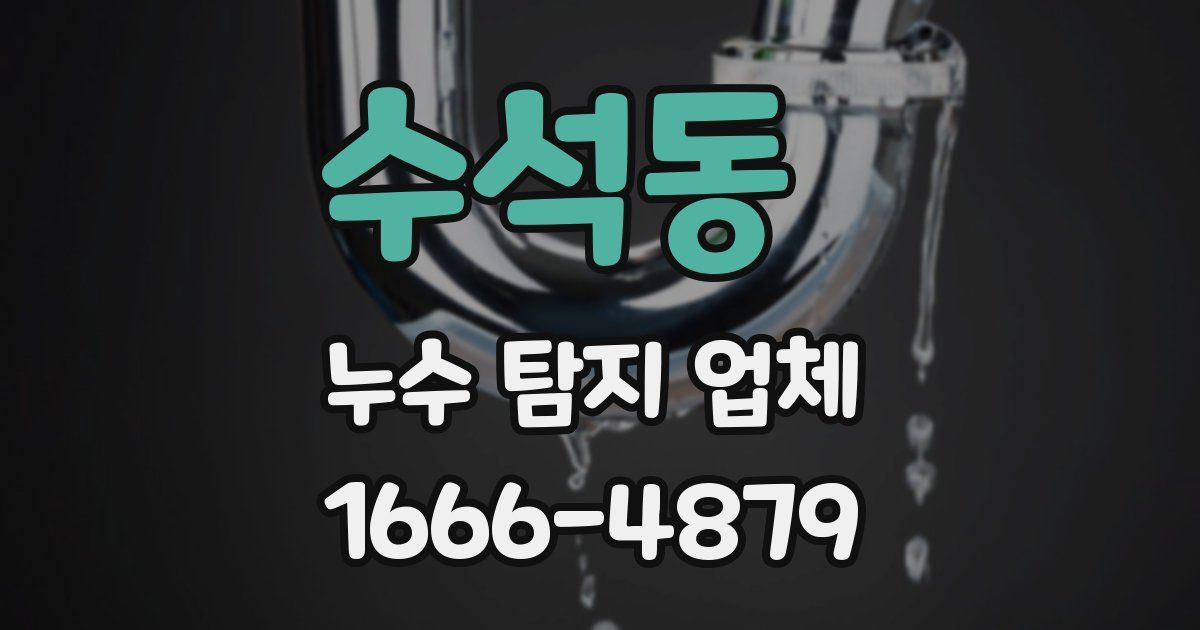 수석동 누수 탐지 업체
