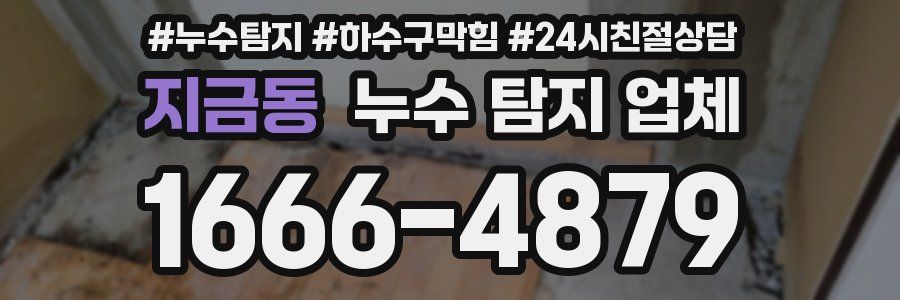 지금동 누수 탐지 업체