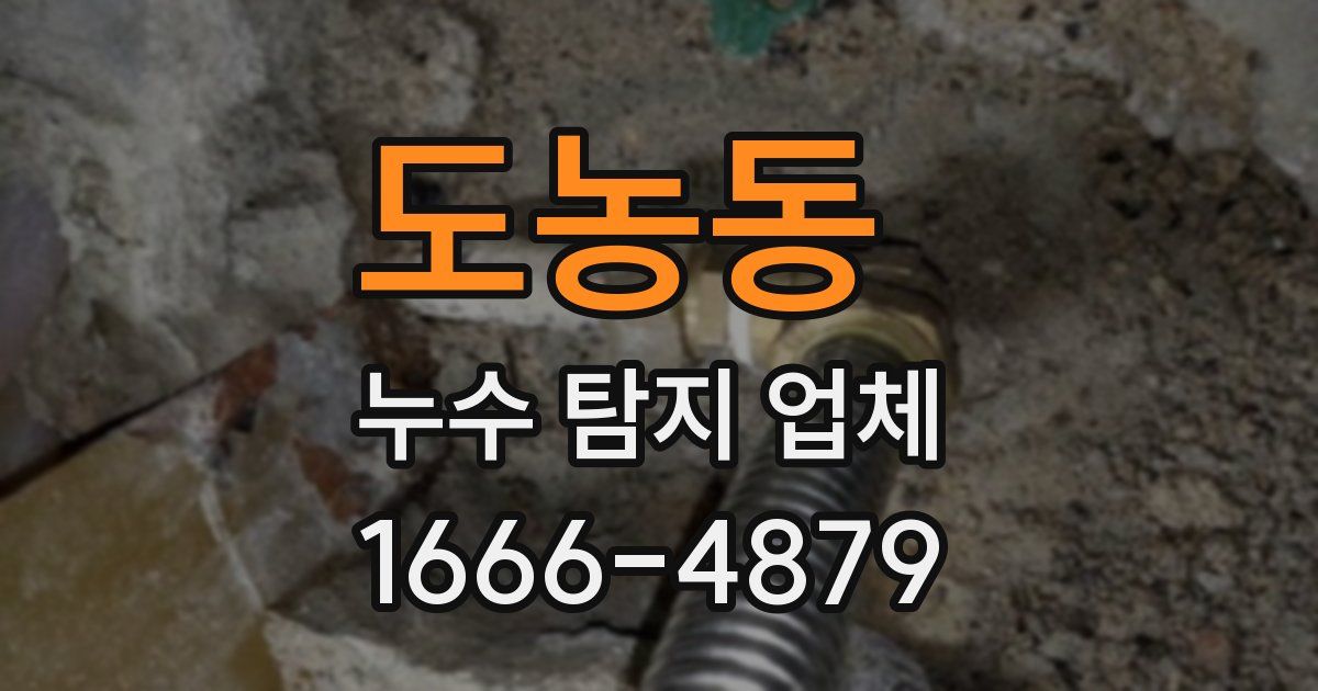 도농동 누수 탐지 업체