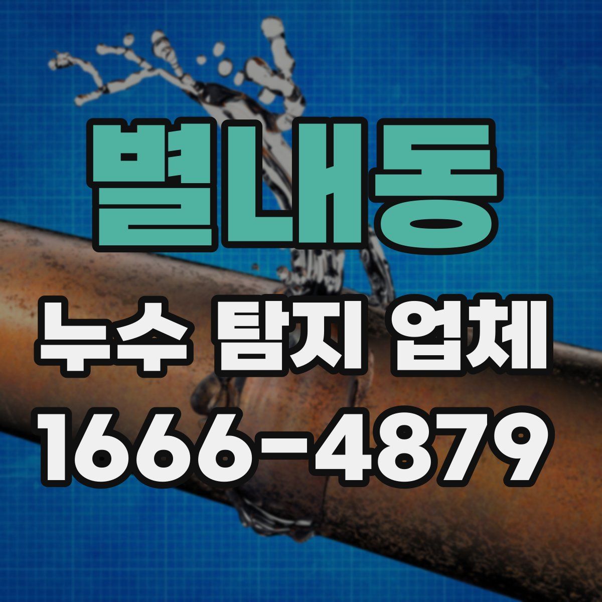 별내동 누수 탐지 업체