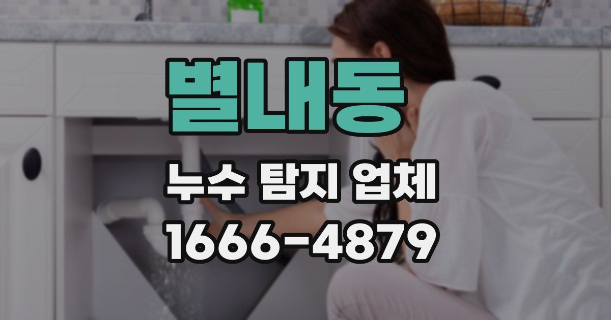별내동 누수 탐지 업체