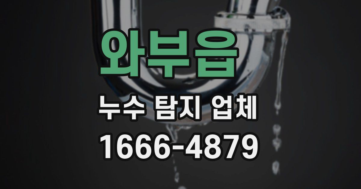 와부읍 누수 탐지 업체