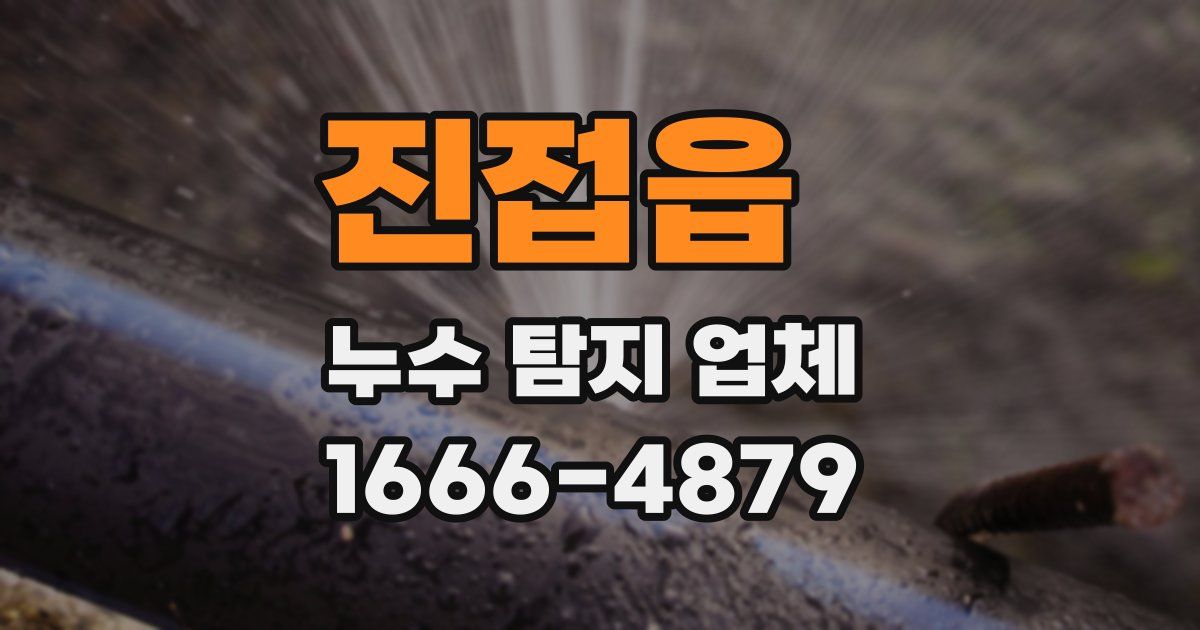 진접읍 누수 탐지 업체