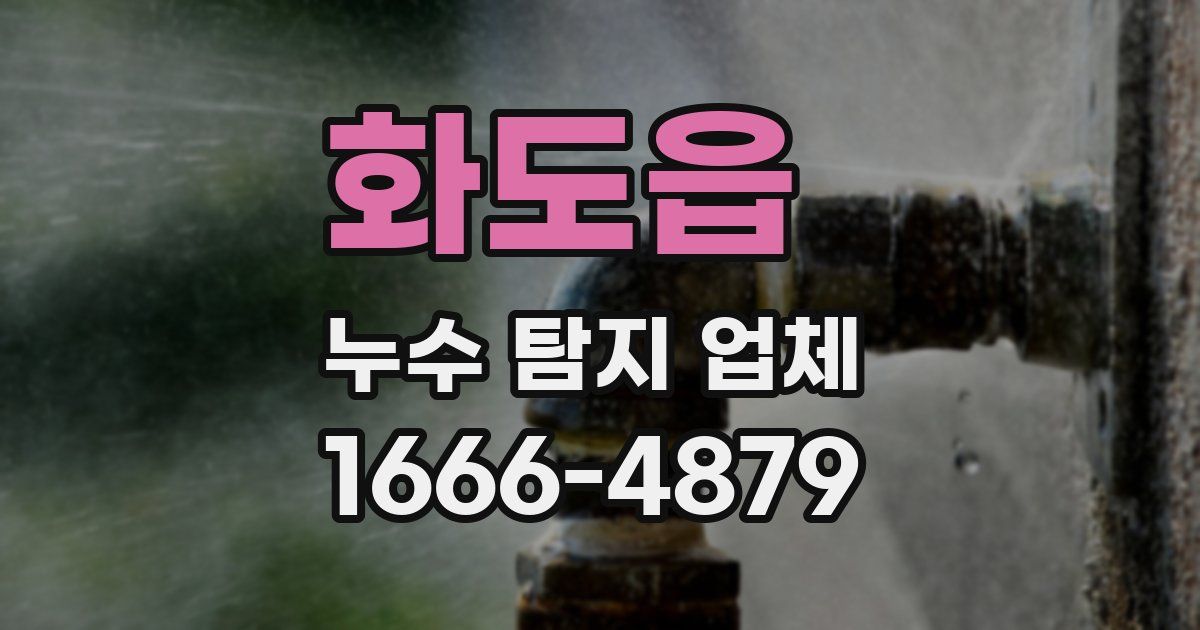 화도읍 누수 탐지 업체