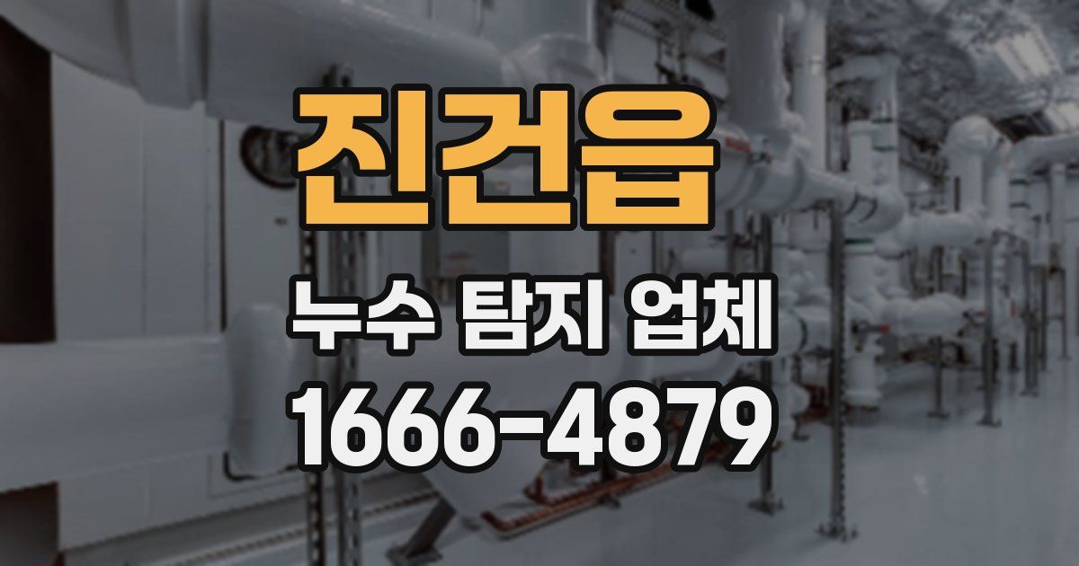 진건읍 누수 탐지 업체