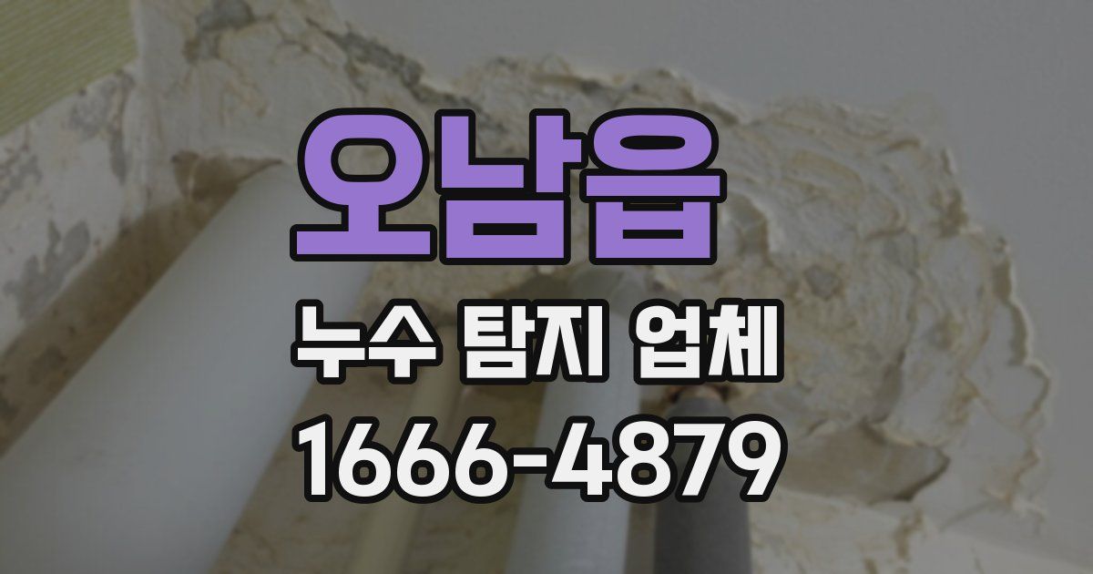 오남읍 누수 탐지 업체