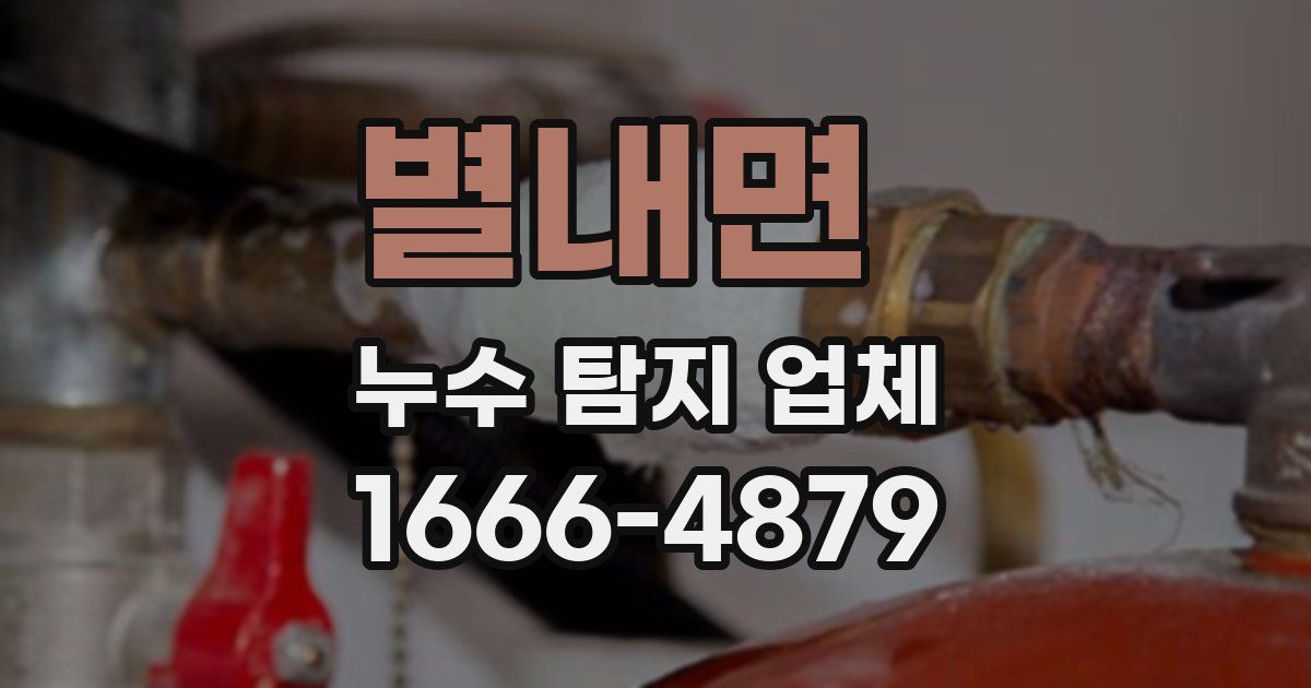 별내면 누수 탐지 업체