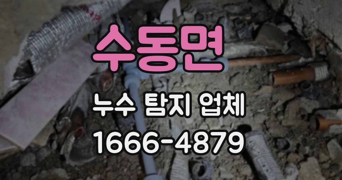 수동면 누수 탐지 업체