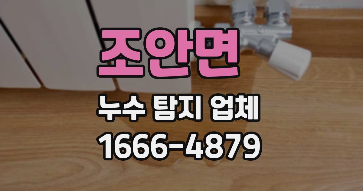 조안면 누수 탐지 업체