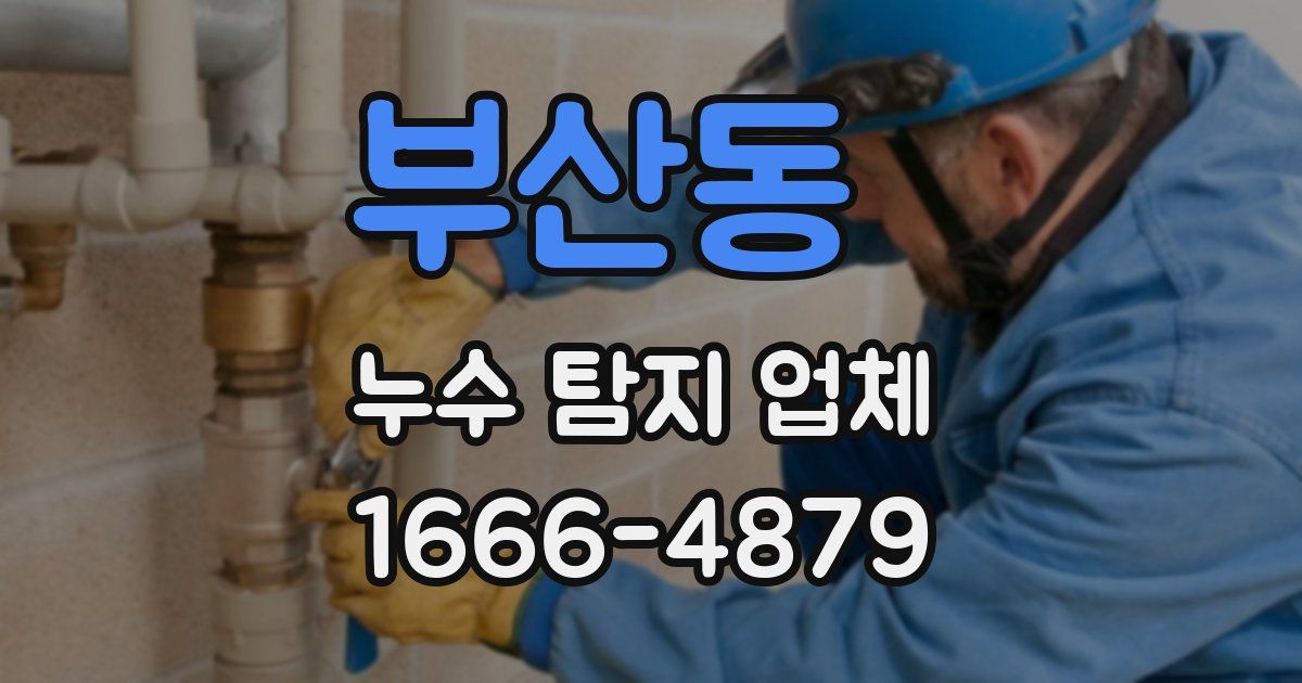 부산동 누수 탐지 업체