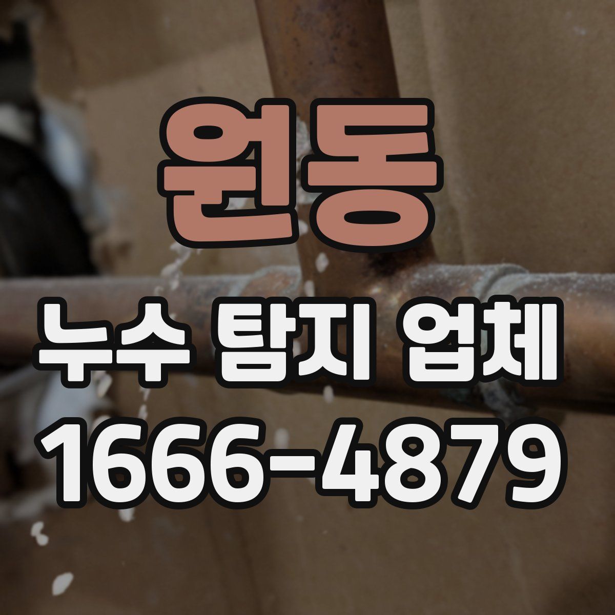 원동 누수 탐지 업체