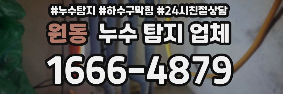 원동 누수 탐지 업체