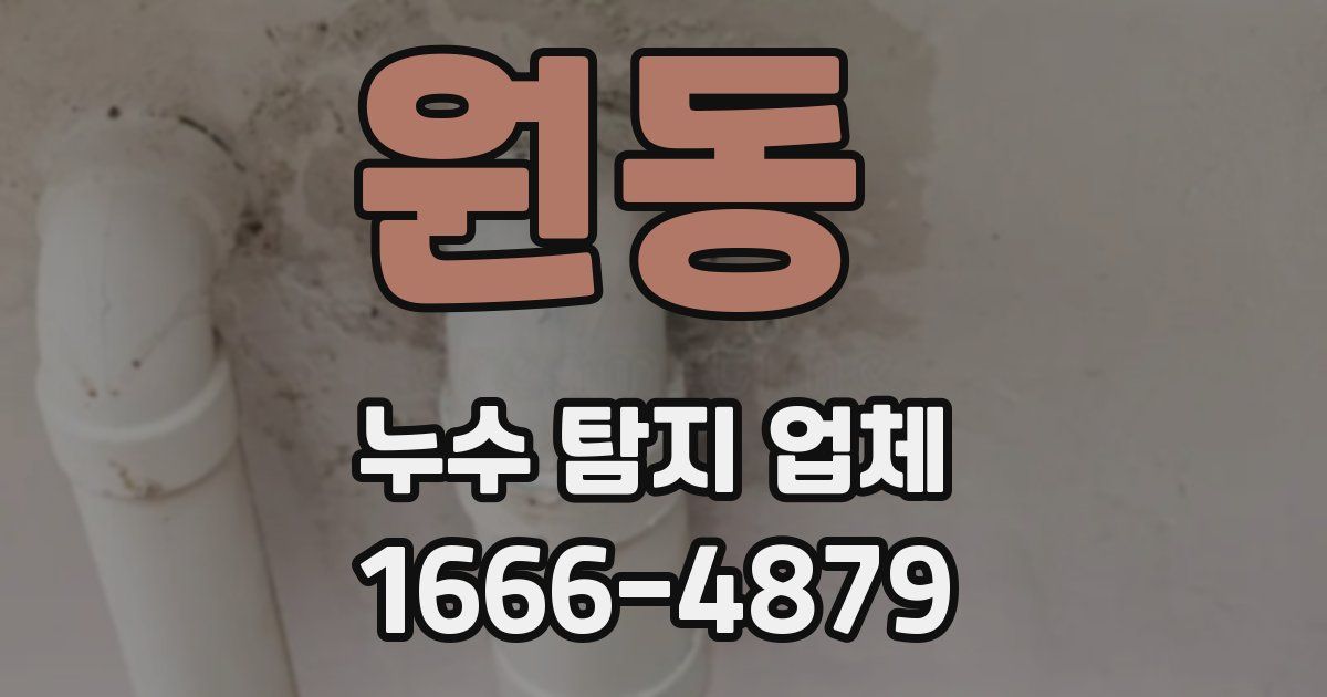 원동 누수 탐지 업체