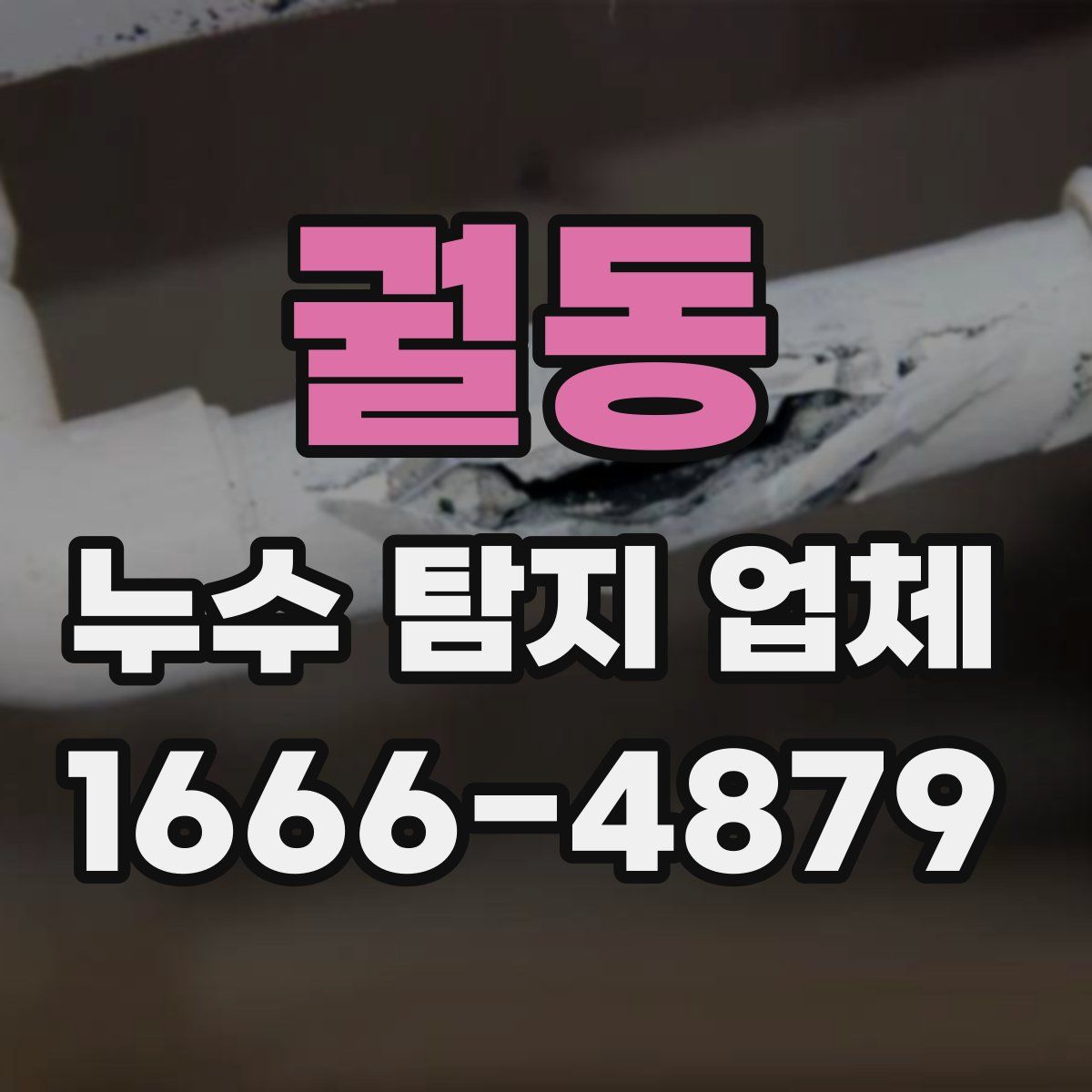 궐동 누수 탐지 업체