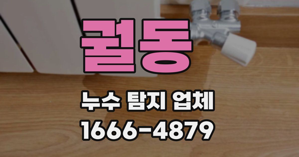 궐동 누수 탐지 업체