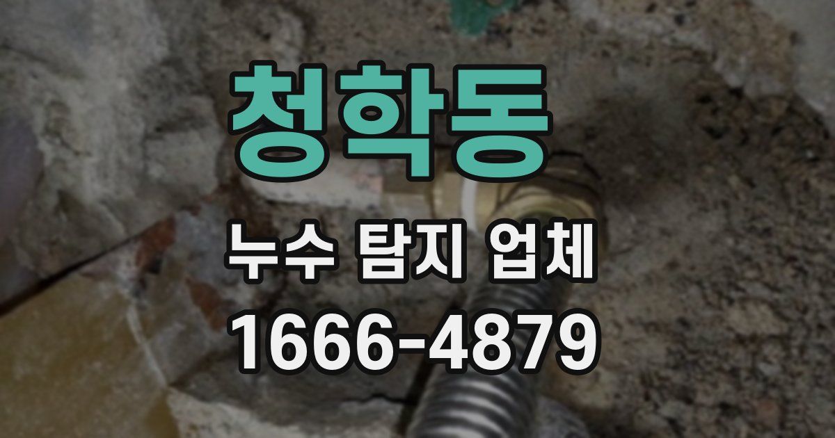 청학동 누수 탐지 업체