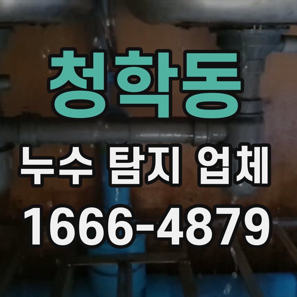 청학동 누수 탐지 업체