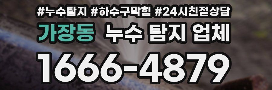가장동 누수 탐지 업체