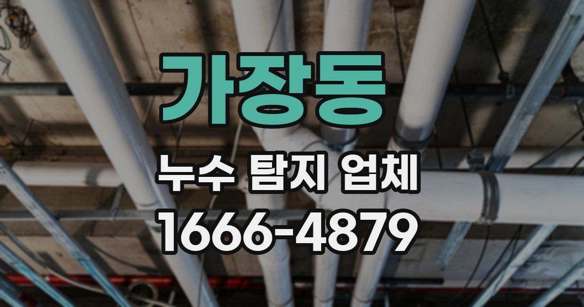 가장동 누수 탐지 업체