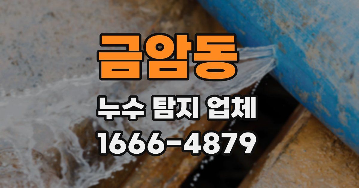금암동 누수 탐지 업체