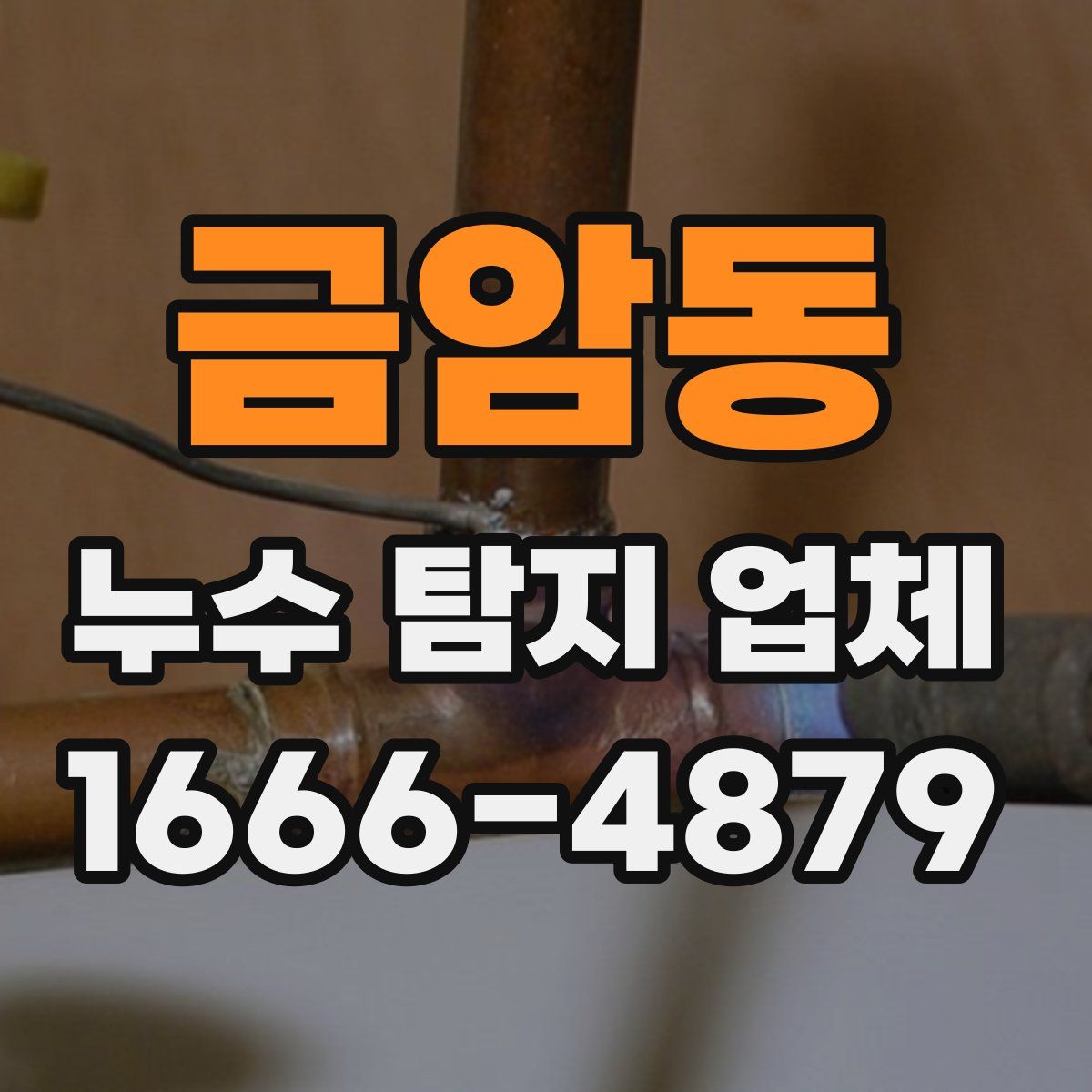 금암동 누수 탐지 업체