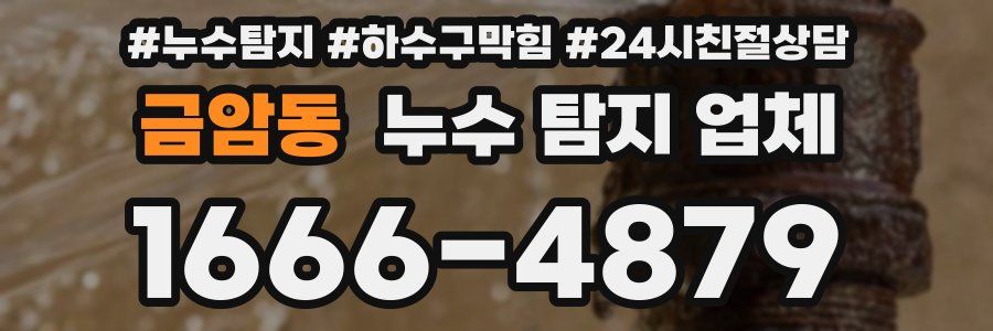 금암동 누수 탐지 업체