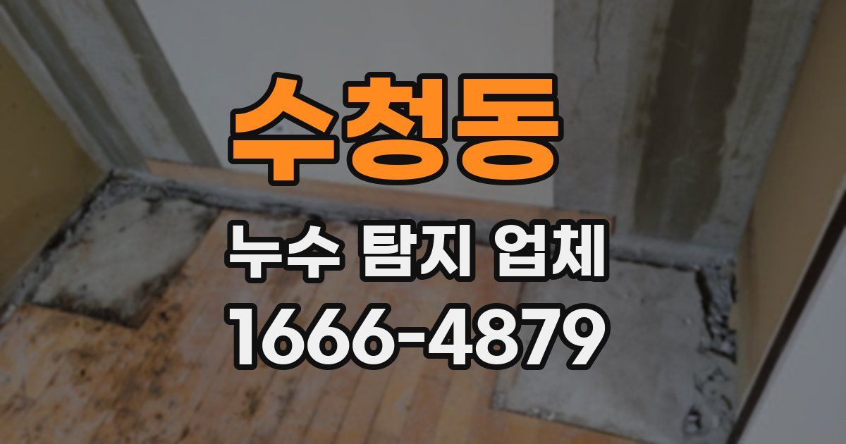 수청동 누수 탐지 업체
