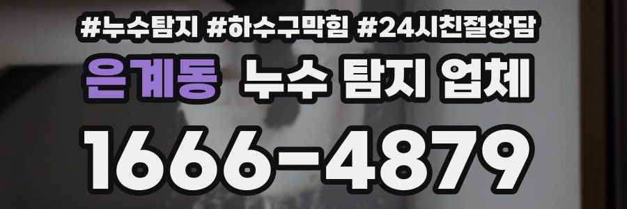 은계동 누수 탐지 업체