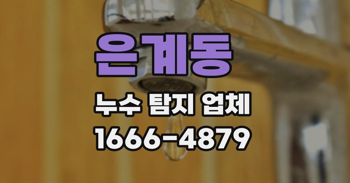 은계동 누수 탐지 업체