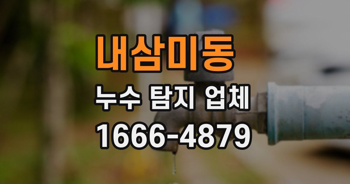 내삼미동 누수 탐지 업체