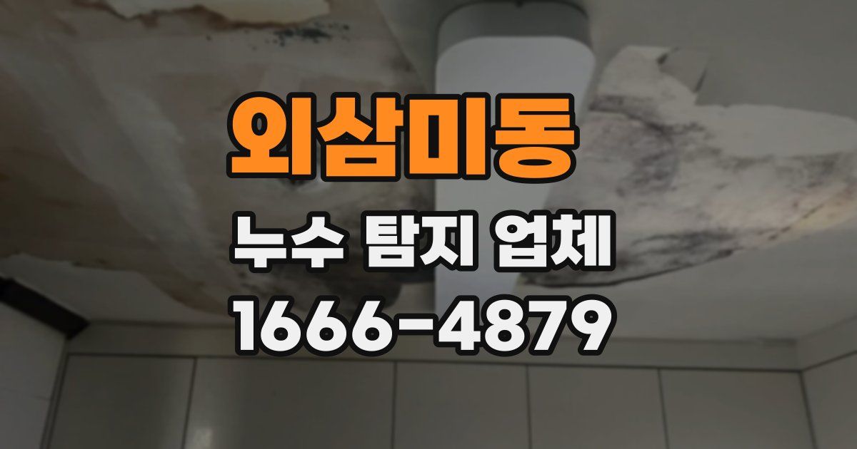 외삼미동 누수 탐지 업체