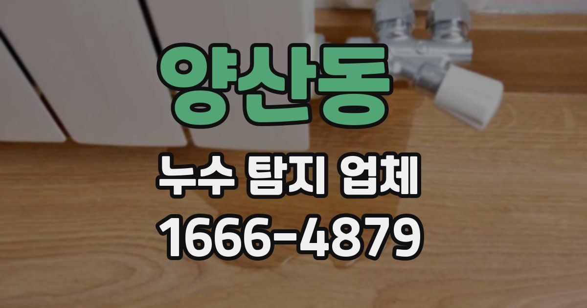 양산동 누수 탐지 업체