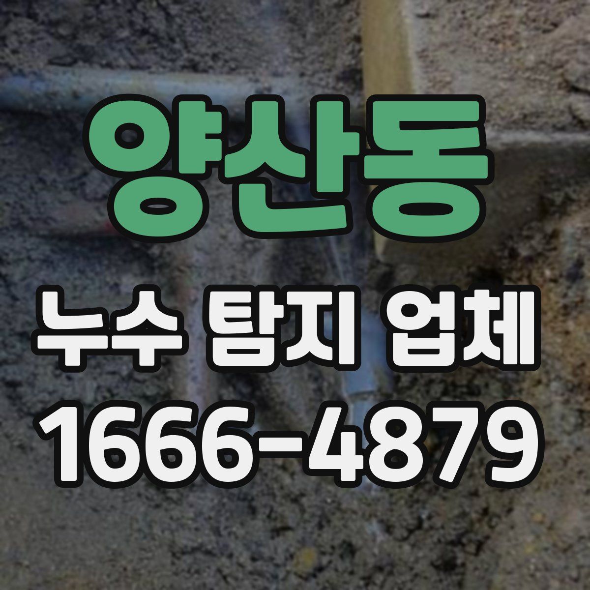 양산동 누수 탐지 업체