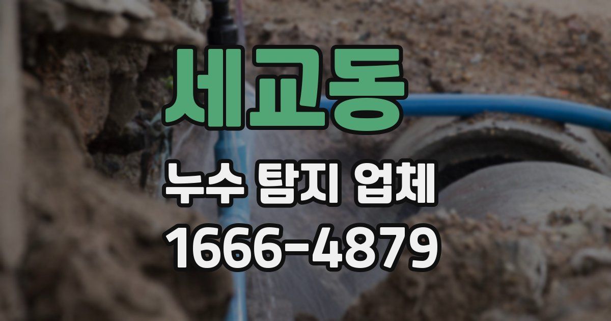 세교동 누수 탐지 업체
