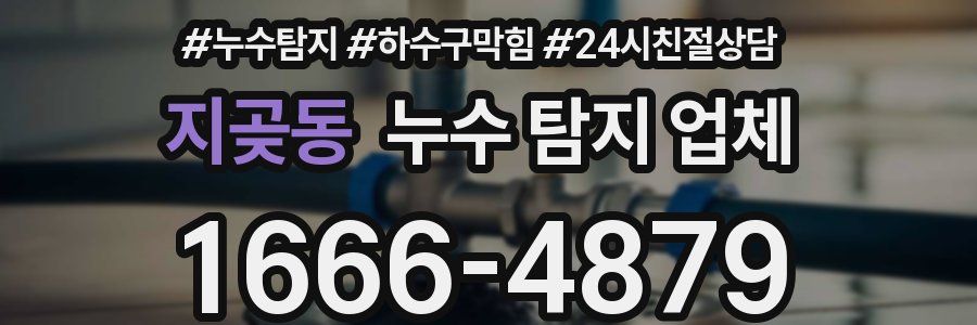지곶동 누수 탐지 업체