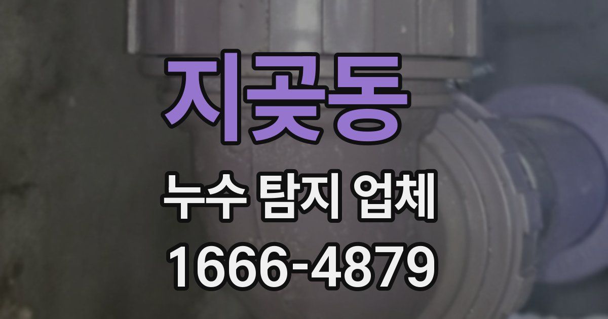 지곶동 누수 탐지 업체